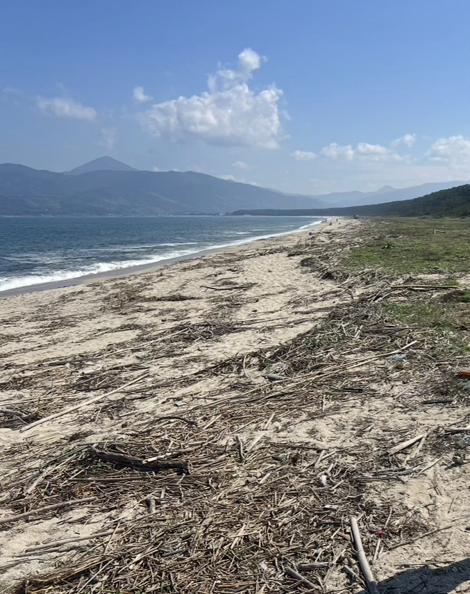 虹の松原の近くの海岸。青い海と砂浜、遠くに山が見える