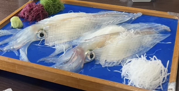 お魚処 玄海のいか活き造り。透き通ったイカが青いお盆にのっている